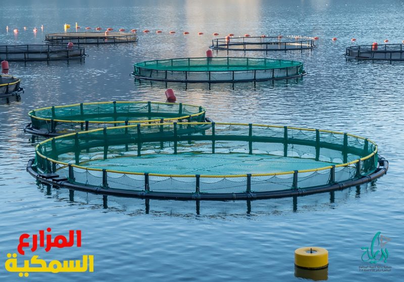 تعتبر مزارع الأسماك هي الشكل الرئيسي للزراعة المائية حيث تنطوي مزارع الأسماك على تربية الأسماك لأغراض تجارية في خزانات لأغراض الغذاء. حيث يتم في الغالب الإشارة إلى المكان التي يتم انتاج صغار الأسماك فيه بمفرخه الأسماك