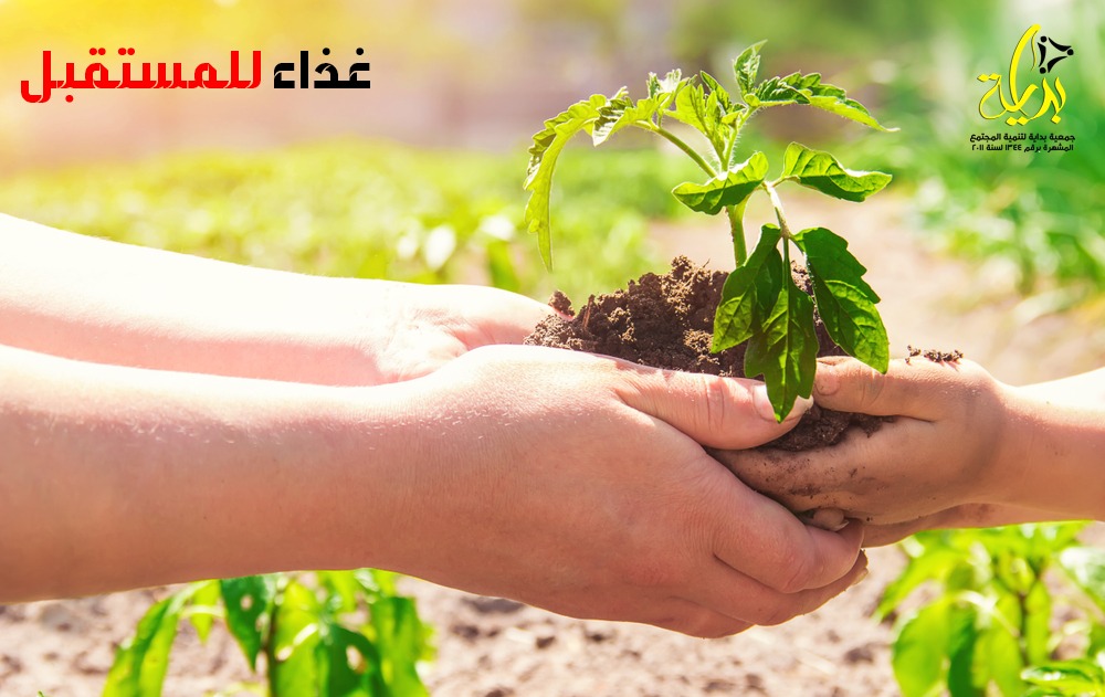 الغذاء للمستقبل مشروع تعزيز الأعمال الزراعية في الريف المصري