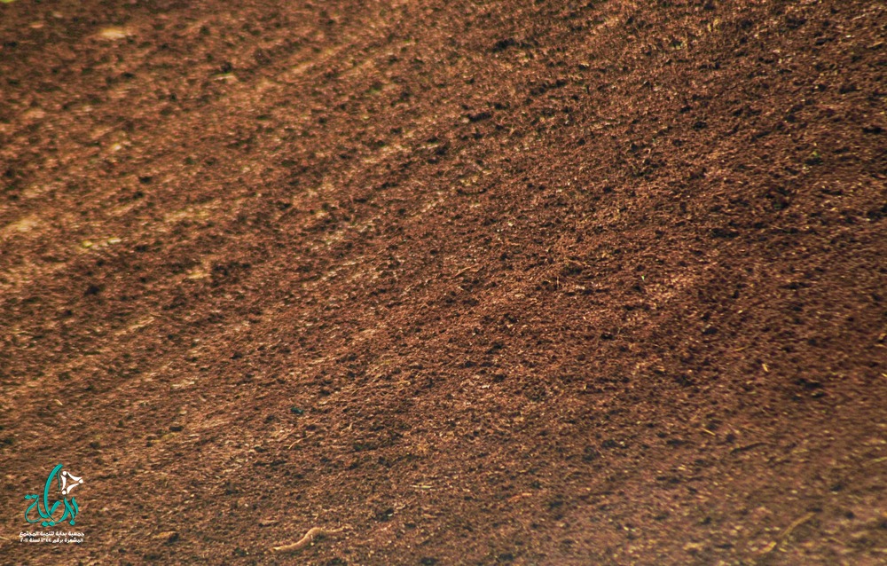 جمعيه بدايه - تعرف على مرحله تسوية التربه